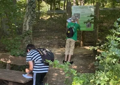 Zwei Personen betrachten eine Informationstafel im Wald, eine sitzt auf einer Bank.
