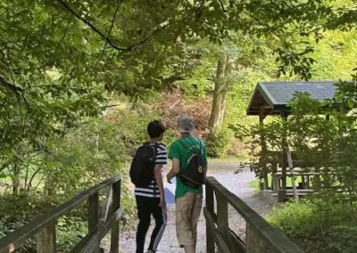 Zwei Personen gehen über eine Holzbrücke in einem Waldgebiet mit Bäumen und Sträuchern.